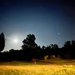 بيت ضيافة Il Melograno كاستياداس