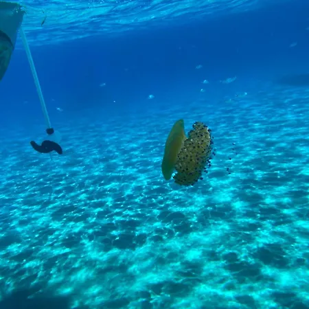 Il Melograno Castiadas