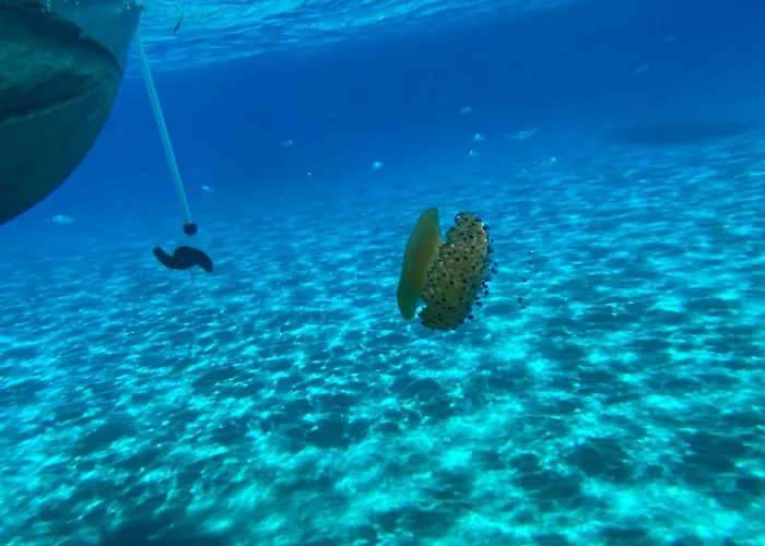 Il Melograno Castiadas